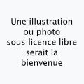 Vignette pour la version du 6 mars 2023 à 03:44