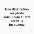 Vignette pour la version du 12 mars 2023 à 02:26